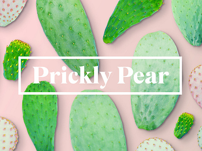 Pickly Pear Hero