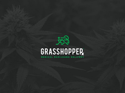Grasshopper Medical Marijuana Delivery