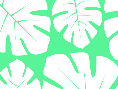 Monstera Leaves