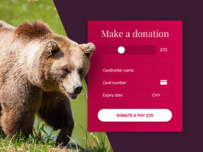 Charity donation credit card checkout 002 brown bear dailyui donate donation form green join pink