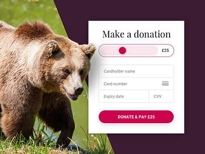Charity donation credit card checkout rebound 002 brown bear dailyui donate donation form green join pink white