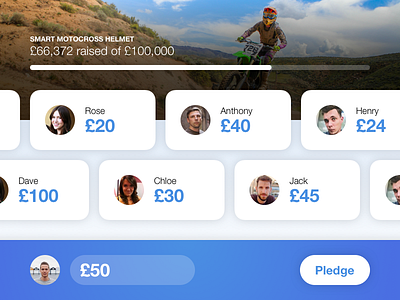 Crowdfunding campaign interface