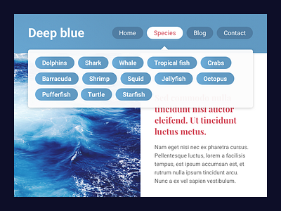 Header navigation 053 blue dailyui header header navigation sea sea creatives sealife