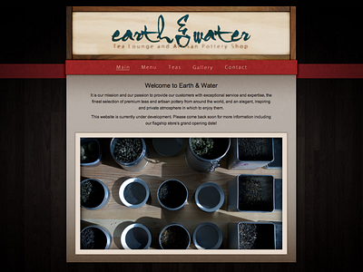 Earth & Water Website (~2013)