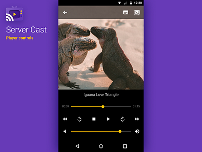 Server Cast: Player controls android app interface material design streaming ui video