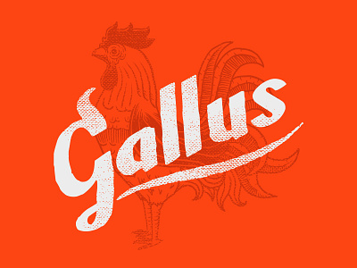 Gallus Buffalo Wings