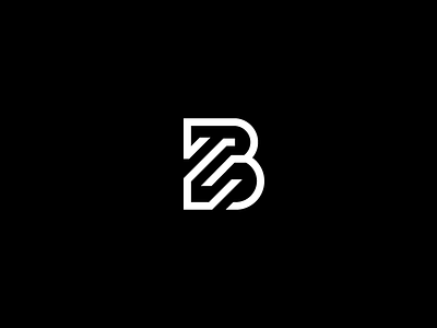 Personal Branding b branding design process logo logotype maze personal brand personal branding