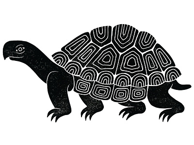 Tortoise