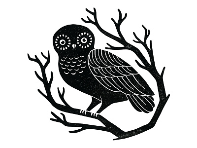 Owl bird blockprint illustration linocut linoprint owl printmaking