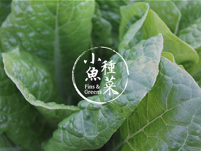Organic Vegetables Logo branding chinese greens logo type vegetables