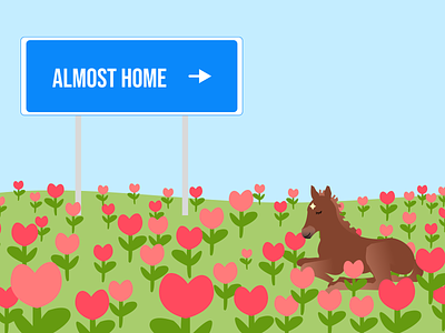 Almost home foal home illustration steppe tulip vector