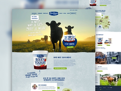 Zuivelhoeve artica corporate food webdesign