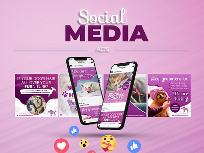 Social Media Ads ads client design digital marketing graphic design grooming services management marketing social media social media ads social media management