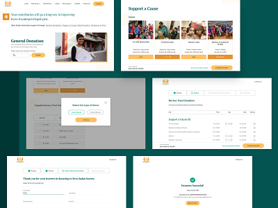 Seva Sadan Society - Donation Flow design donations foundation interface ngo non profit organization responsive stories ui ux volunteer web website