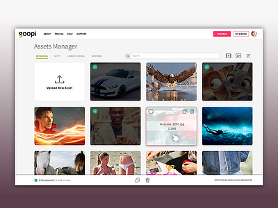 Goopi Vido Ads dashboard file file manager icons photo psd ui ux video