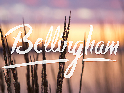 Bellingham hand lettering lettering logo photography type