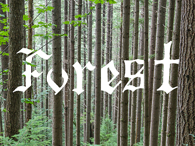 Black Forest bellingham blackletter forest green handlettering lettering pnw