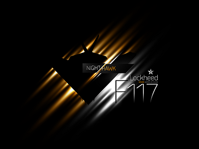 F-117 Nighthawk - Black Limited Edition