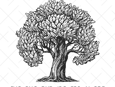 Vintage tree. Tree of life. branding design eco logo eco tree graphic design illustration logo money tree old tree simbol nature tree tree of life typography ui vector vintage tree