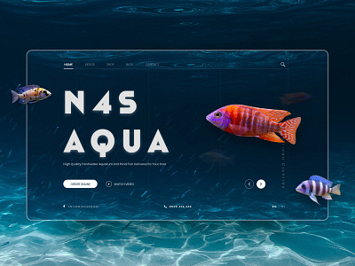 N4S AQUA | Website aqua design shopping ui website