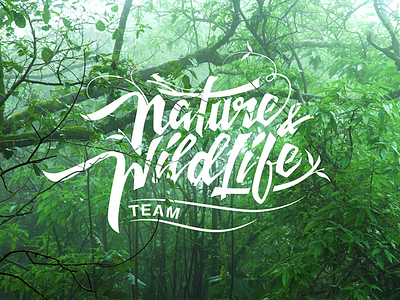 Nature Wildlife