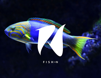 Fish + N Logo Design 3d animation art brand branding businesslogo creative logo design graphic graphic design illustration illustrator logo logo type logodesign motion graphics project rifat typography ui