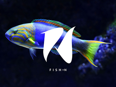 Fish + N Logo Design