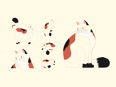 Character Proposal 🐈 cat graphic design illustration
