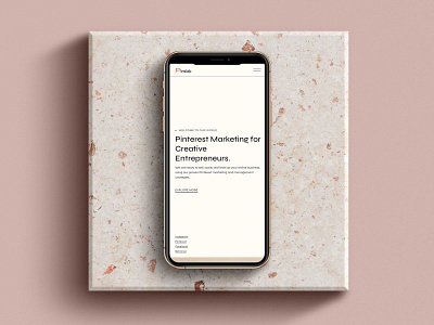 Pinslab Studio - Mobile UI design graphic design homepage homepageconcept layout typography ui web development webdesign website design