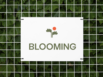 Blooming - Branding & Logo Design