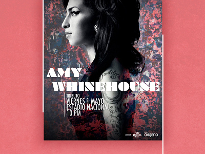 Amy Afiche photoshop poster texture