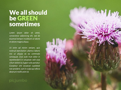 We all should be GREEN sometimes background free freebie image photo picjumbo site stock stock image webdesign