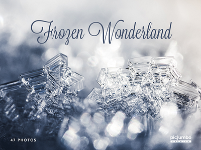 New PREMIUM Collection! Frozen Wonderland