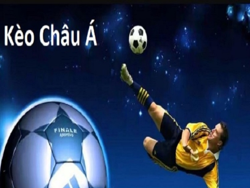 tong hop cac thuat ngu ca cuoc bong da moi nhat 2022 by 8xbet on Dribbble