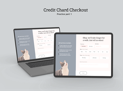 Credit Chart Checkout branding design typography ui