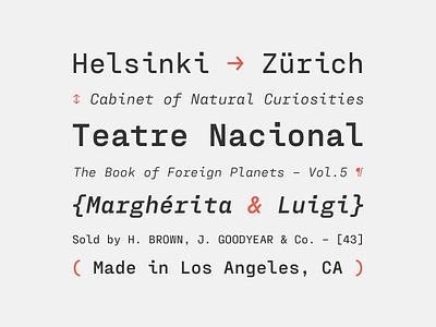 Fraktion Mono font italics type typeface typography