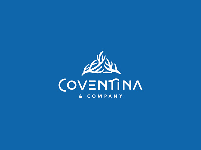 Coventina beach beachy blue clean coral logo logo design ocean