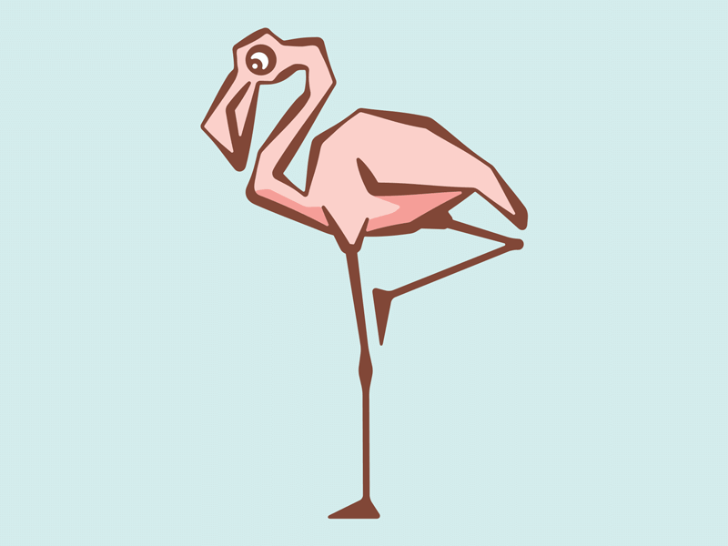 Caribbean Flamingo by Sean Michael Stewart on Dribbble