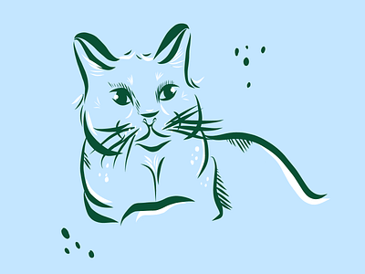 Stella cat cats design illustration sketch