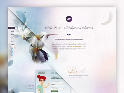 SF front end developer homepage hummingbird portfolio sf website