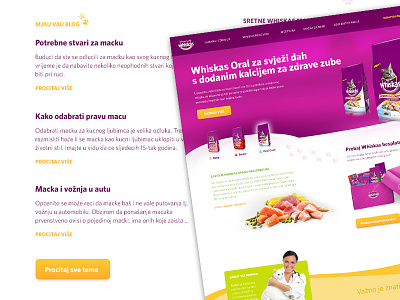 Whiskas articles articles blog cat food kitten landing page products tips whiskas