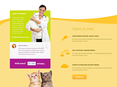 Whiskas advice advice cat food kitten landing page products veterinarian whiskas
