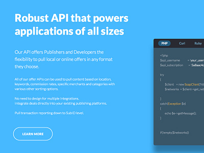 Robust API