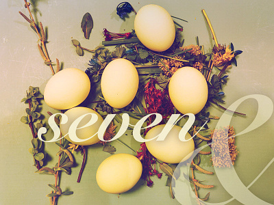 Seven Eggs easter easter eggs natural organic script