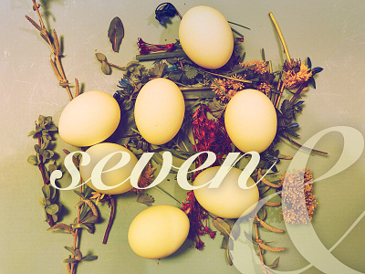 Seven Eggs