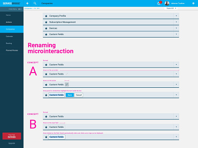 Microinteraction: renaming inline microinteraction service design servicebridge user experience user interface design ux uxui