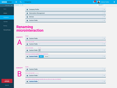 Microinteraction: renaming inline