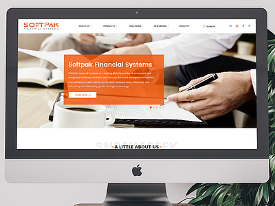 Softpak Financial Systems Website Revamp