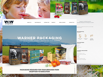 Web Design For a Packaging Company