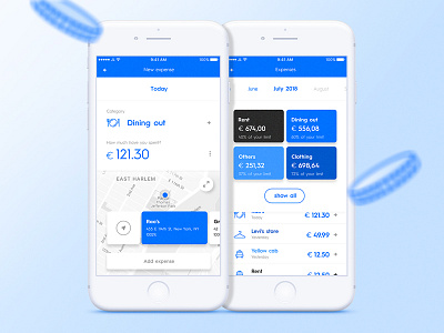 Blue cheese app blue clean interface management manager minimalism money pocket ui